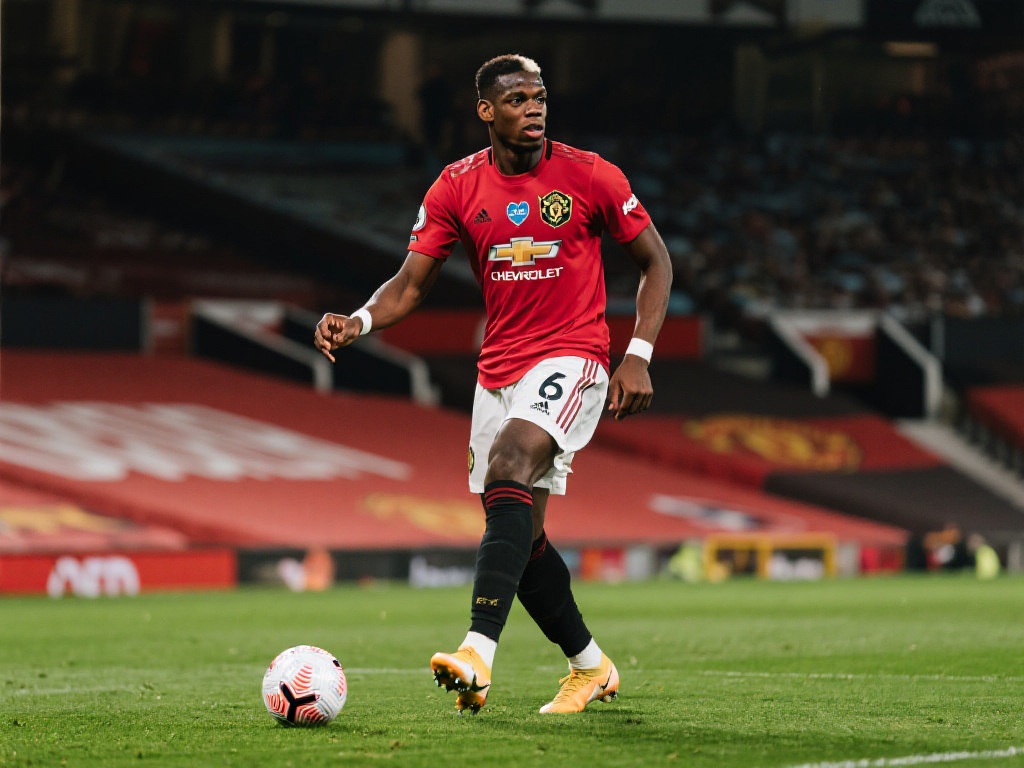 还鼓励用户 还鼓励用户